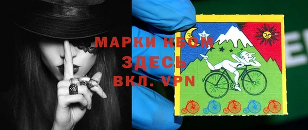 индика Бутурлиновка