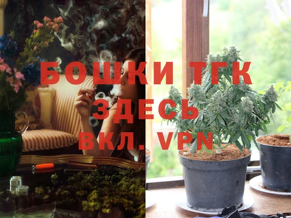 индика Бутурлиновка